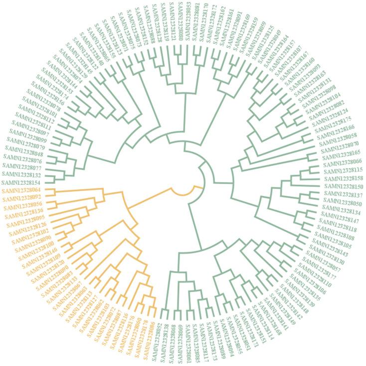 https://cdn.ncbi.nlm.nih.gov/pmc/blobs/e8cc/10742670/ea6ccc440b8c/genes-14-02141-g005.jpg