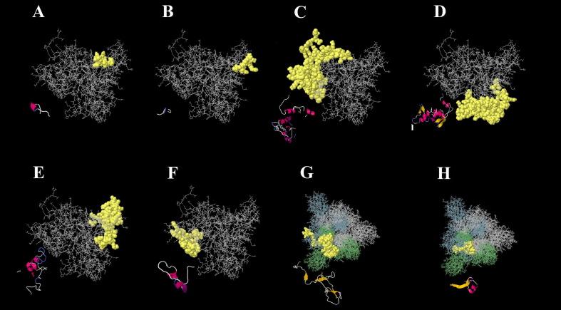 https://cdn.ncbi.nlm.nih.gov/pmc/blobs/e8cd/7546226/4deade559b94/gr5_lrg.jpg