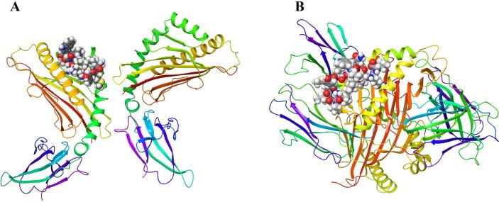 https://cdn.ncbi.nlm.nih.gov/pmc/blobs/e8cd/7546226/e06ce329773a/gr7_lrg.jpg