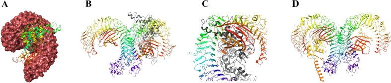 https://cdn.ncbi.nlm.nih.gov/pmc/blobs/e8cd/7546226/e620a34f637c/gr6_lrg.jpg