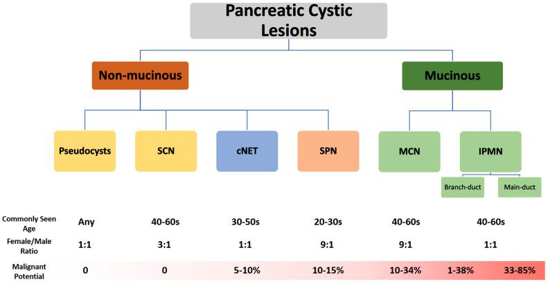 https://cdn.ncbi.nlm.nih.gov/pmc/blobs/e8cf/11674829/c8ff708c27b0/cancers-16-04268-g002.jpg