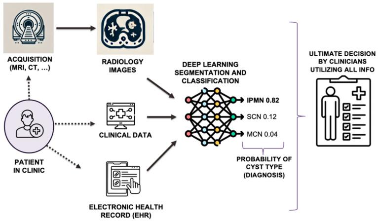 https://cdn.ncbi.nlm.nih.gov/pmc/blobs/e8cf/11674829/ce89e92f65ad/cancers-16-04268-g001.jpg