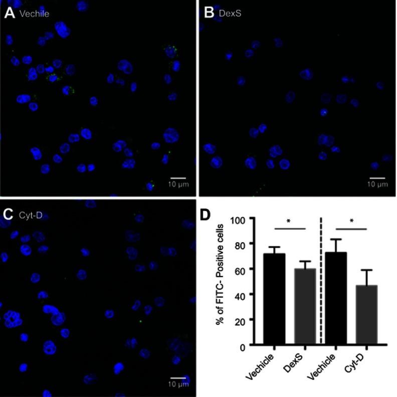 https://cdn.ncbi.nlm.nih.gov/pmc/blobs/e8d0/6535103/f28243952300/IJN-14-3723-g0007.jpg