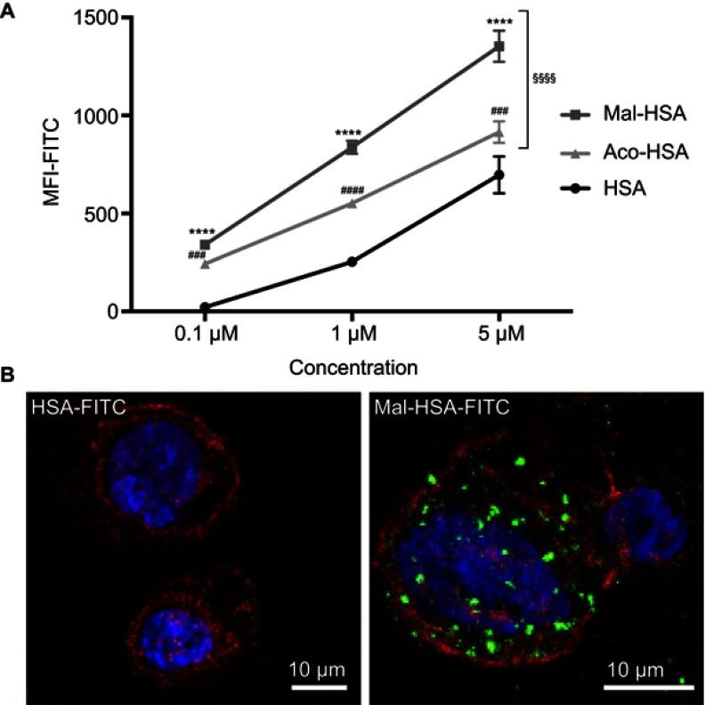 https://cdn.ncbi.nlm.nih.gov/pmc/blobs/e8d0/6535103/f6ef936c411e/IJN-14-3723-g0002.jpg