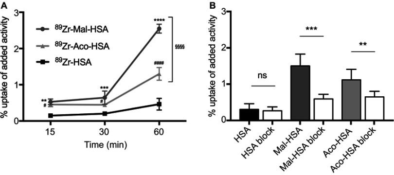 https://cdn.ncbi.nlm.nih.gov/pmc/blobs/e8d0/6535103/f71259275b0e/IJN-14-3723-g0010.jpg