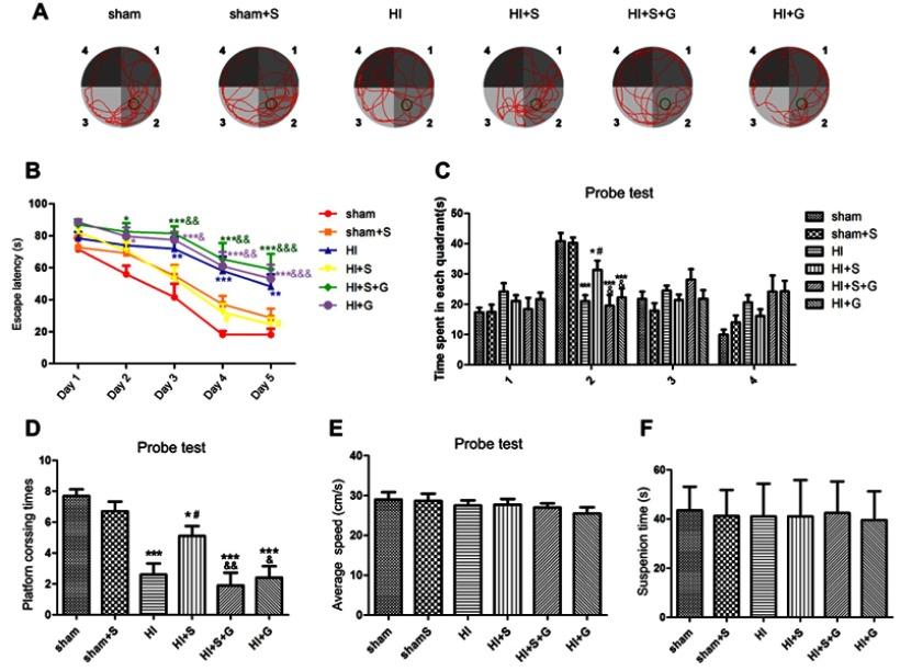 https://cdn.ncbi.nlm.nih.gov/pmc/blobs/e8d1/6528650/776326a287e6/DDDT-13-1691-g0006.jpg