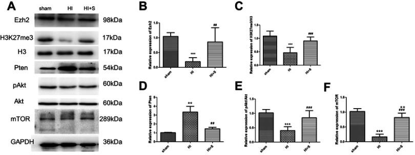 https://cdn.ncbi.nlm.nih.gov/pmc/blobs/e8d1/6528650/d758d22cf00f/DDDT-13-1691-g0003.jpg
