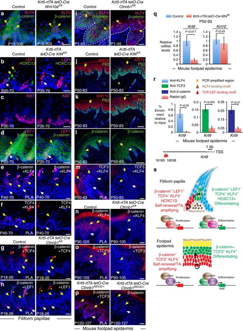 https://cdn.ncbi.nlm.nih.gov/pmc/blobs/e8d2/5467248/919b4bf62e85/ncomms15397-f10.jpg