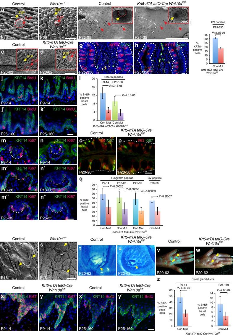 https://cdn.ncbi.nlm.nih.gov/pmc/blobs/e8d2/5467248/a05fa0e30963/ncomms15397-f6.jpg