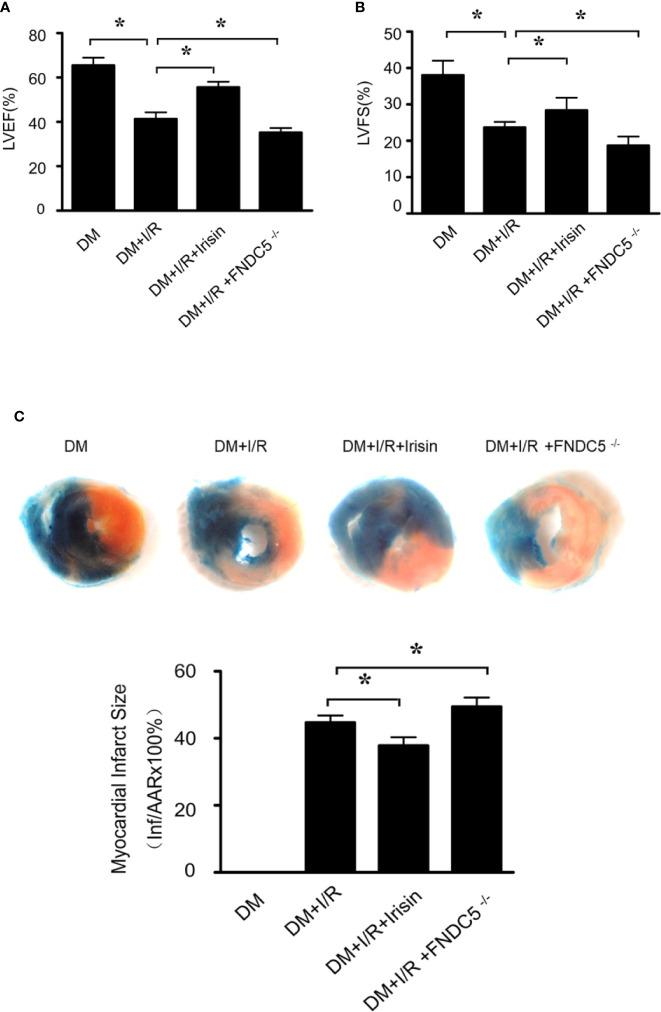 https://cdn.ncbi.nlm.nih.gov/pmc/blobs/e8d3/7516196/833b4242a850/fphar-11-565160-g001.jpg