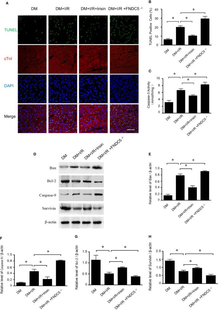 https://cdn.ncbi.nlm.nih.gov/pmc/blobs/e8d3/7516196/ef18297e6ce4/fphar-11-565160-g003.jpg