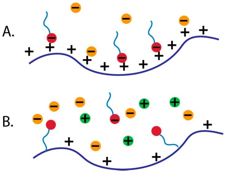 https://cdn.ncbi.nlm.nih.gov/pmc/blobs/e8d4/6401804/20187c57cb3f/polymers-11-00051-g003.jpg