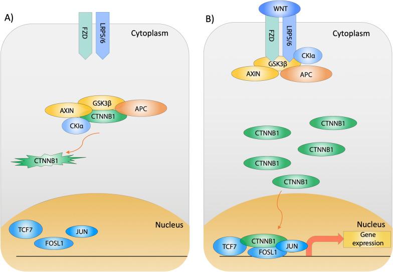https://cdn.ncbi.nlm.nih.gov/pmc/blobs/e8d4/9714242/595a8237b3ea/12935_2022_2799_Fig1_HTML.jpg