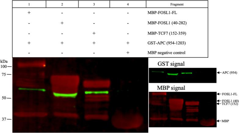 https://cdn.ncbi.nlm.nih.gov/pmc/blobs/e8d4/9714242/f6513b3b589a/12935_2022_2799_Fig5_HTML.jpg