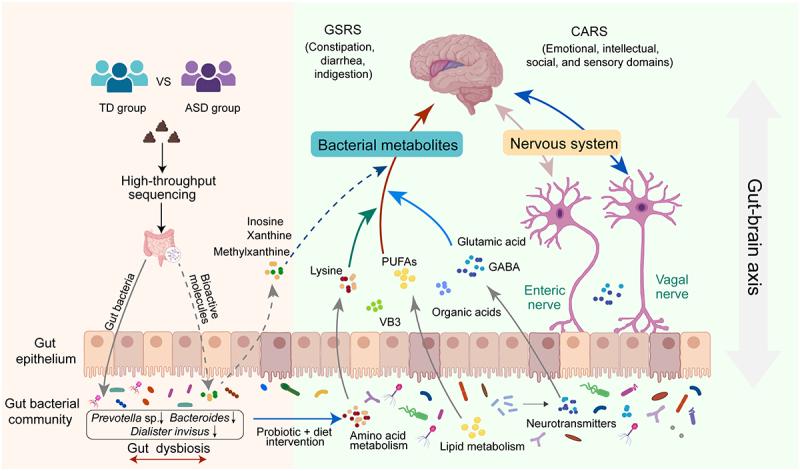 https://cdn.ncbi.nlm.nih.gov/pmc/blobs/e8d5/11622613/d1e6e319eebe/KGMI_A_2434675_F0006_OC.jpg