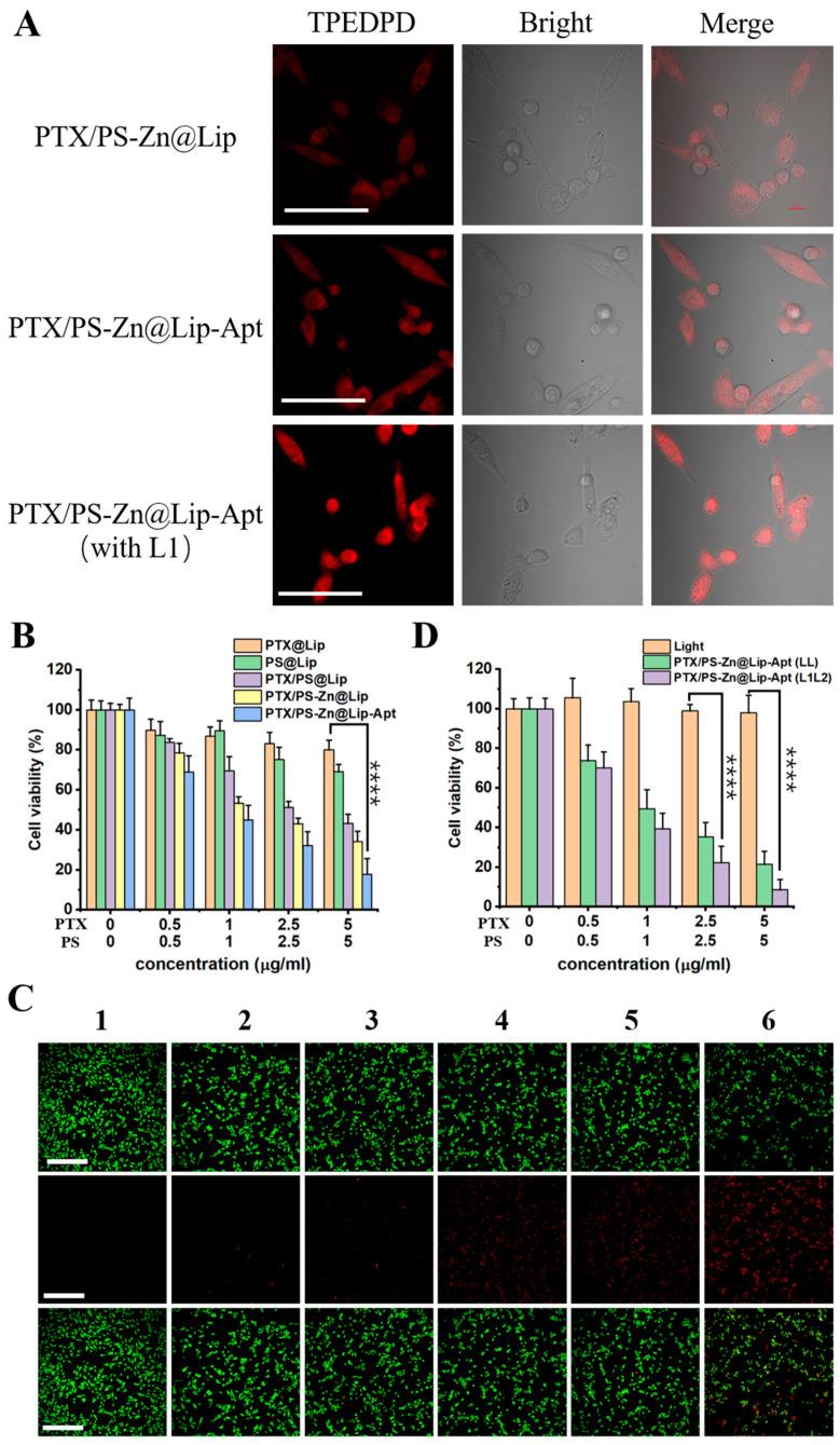 https://cdn.ncbi.nlm.nih.gov/pmc/blobs/e8d7/12030104/d996c3a3f2e0/pharmaceutics-17-00448-g004.jpg