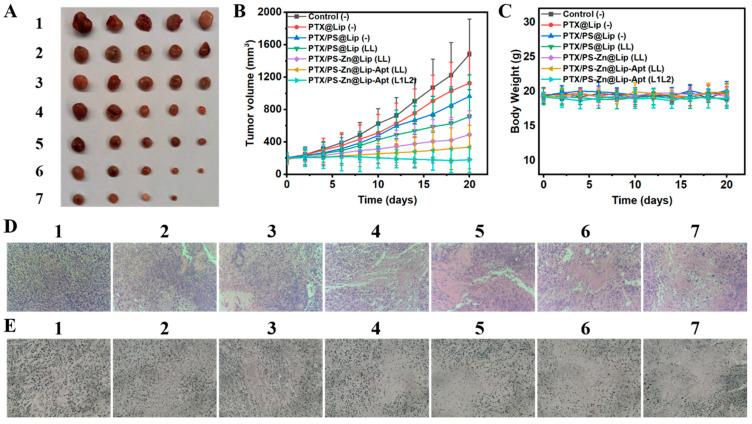 https://cdn.ncbi.nlm.nih.gov/pmc/blobs/e8d7/12030104/f6f99f152294/pharmaceutics-17-00448-g006.jpg