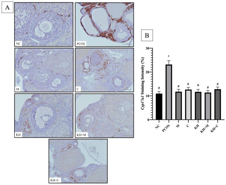 https://cdn.ncbi.nlm.nih.gov/pmc/blobs/e8db/9612175/e64bc82cb42d/nutrients-14-04364-g007.jpg