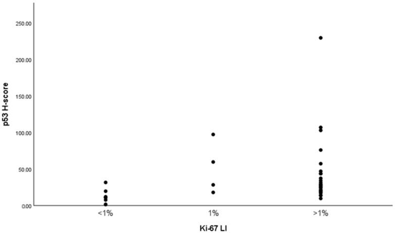https://cdn.ncbi.nlm.nih.gov/pmc/blobs/e8dd/12347107/6396800983bd/ijms-26-07565-g004.jpg