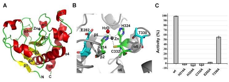 https://cdn.ncbi.nlm.nih.gov/pmc/blobs/e8de/4022735/d151ef10925e/ppat.1004109.g006.jpg