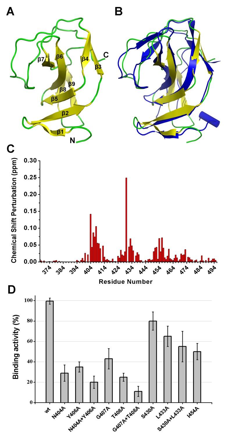 https://cdn.ncbi.nlm.nih.gov/pmc/blobs/e8de/4022735/e1cb03c34d95/ppat.1004109.g008.jpg