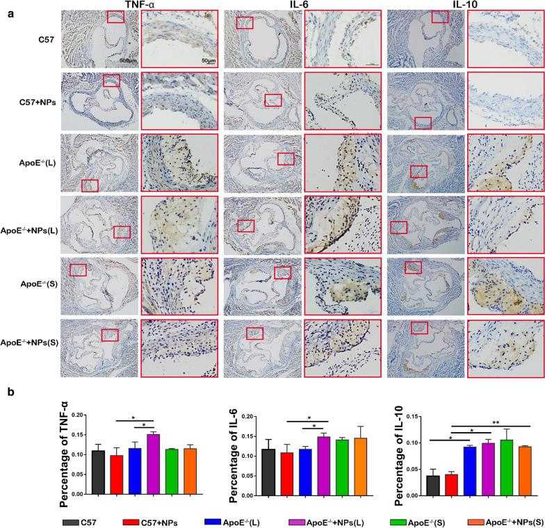 https://cdn.ncbi.nlm.nih.gov/pmc/blobs/e8de/8082811/493499428053/12951_2021_863_Fig4_HTML.jpg