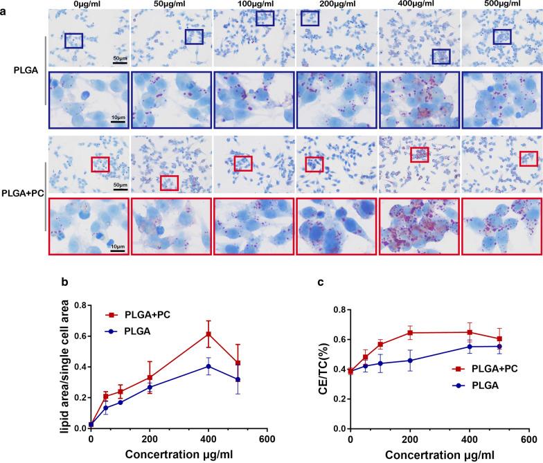 https://cdn.ncbi.nlm.nih.gov/pmc/blobs/e8de/8082811/c1c16b57feb0/12951_2021_863_Fig6_HTML.jpg