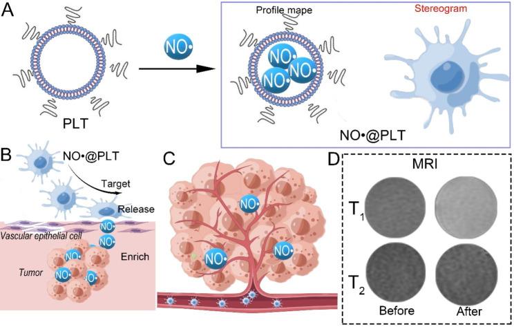 https://cdn.ncbi.nlm.nih.gov/pmc/blobs/e8e2/10734142/8204824b987b/12951_2023_2245_Sch1_HTML.jpg