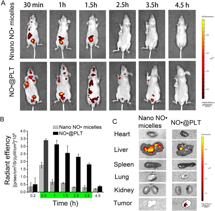 https://cdn.ncbi.nlm.nih.gov/pmc/blobs/e8e2/10734142/e2faeb146168/12951_2023_2245_Fig6_HTML.jpg