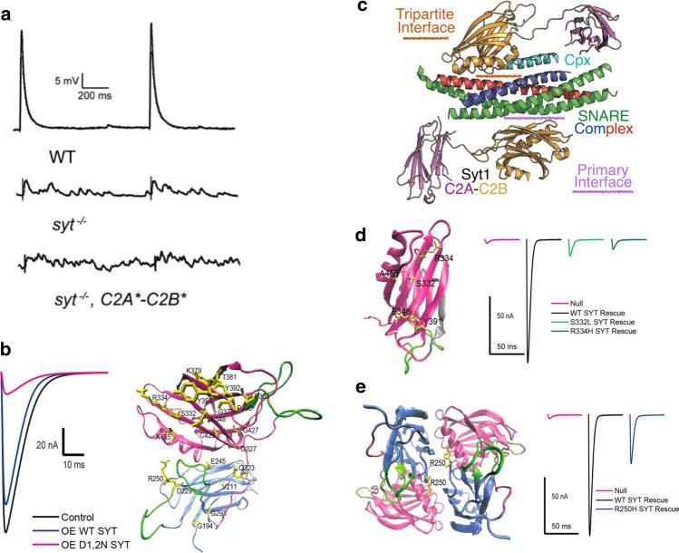 https://cdn.ncbi.nlm.nih.gov/pmc/blobs/e8e2/11072311/2df1b0b15990/18_2021_3788_Fig4_HTML.jpg