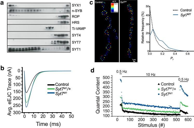 https://cdn.ncbi.nlm.nih.gov/pmc/blobs/e8e2/11072311/f60bc84cdd01/18_2021_3788_Fig5_HTML.jpg