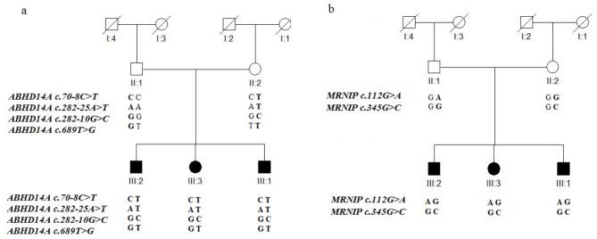 https://cdn.ncbi.nlm.nih.gov/pmc/blobs/e8e3/11696457/035ce0222e62/41598_2024_83115_Fig1_HTML.jpg