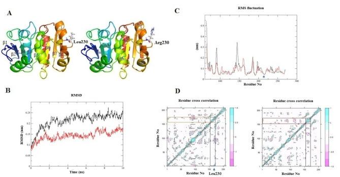 https://cdn.ncbi.nlm.nih.gov/pmc/blobs/e8e3/11696457/d392f29712dc/41598_2024_83115_Fig2_HTML.jpg