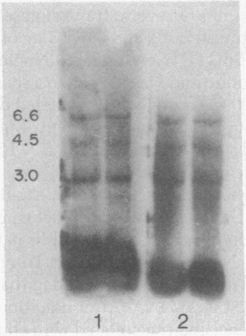 https://cdn.ncbi.nlm.nih.gov/pmc/blobs/e8e3/411442/212f60b86027/pnas00015-0186-a.jpg