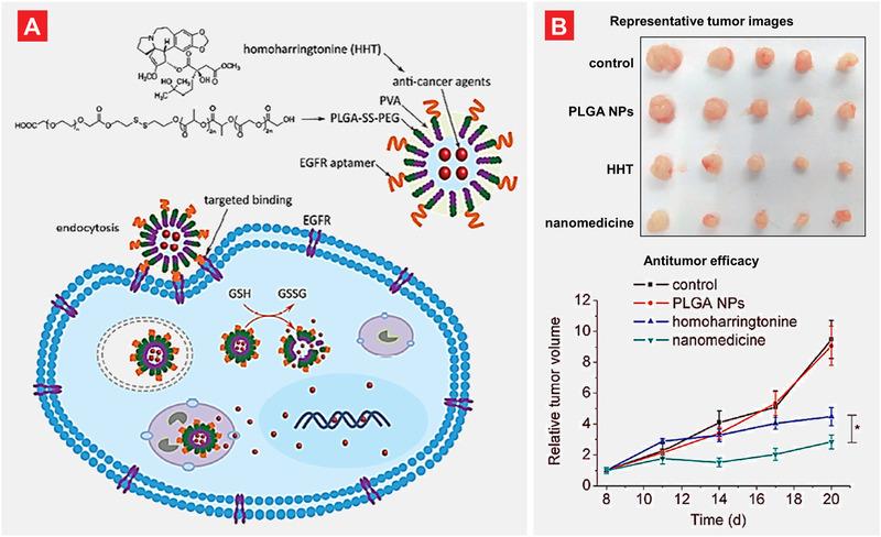https://cdn.ncbi.nlm.nih.gov/pmc/blobs/e8e5/7646027/2f3273950358/ADTP-4-0-g006.jpg