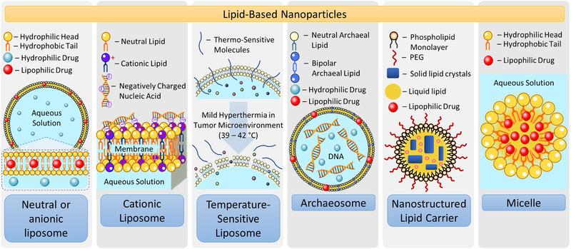 https://cdn.ncbi.nlm.nih.gov/pmc/blobs/e8e5/7646027/675c078abc76/ADTP-4-0-g008.jpg