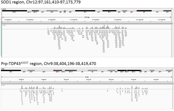 https://cdn.ncbi.nlm.nih.gov/pmc/blobs/e8e7/4035081/35fcf0be7e92/12864_2013_6050_Fig1_HTML.jpg