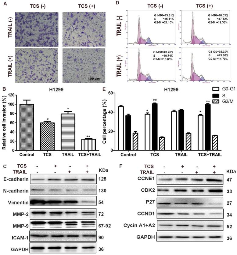 https://cdn.ncbi.nlm.nih.gov/pmc/blobs/e8e7/5821042/4b99b17711d0/ijbsv14p0217g003.jpg