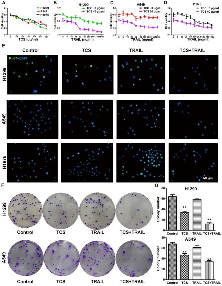 https://cdn.ncbi.nlm.nih.gov/pmc/blobs/e8e7/5821042/e6c6827a951e/ijbsv14p0217g001.jpg