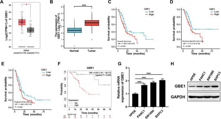 https://cdn.ncbi.nlm.nih.gov/pmc/blobs/e8e8/11223412/0474e00e197c/11658_2024_611_Fig1_HTML.jpg