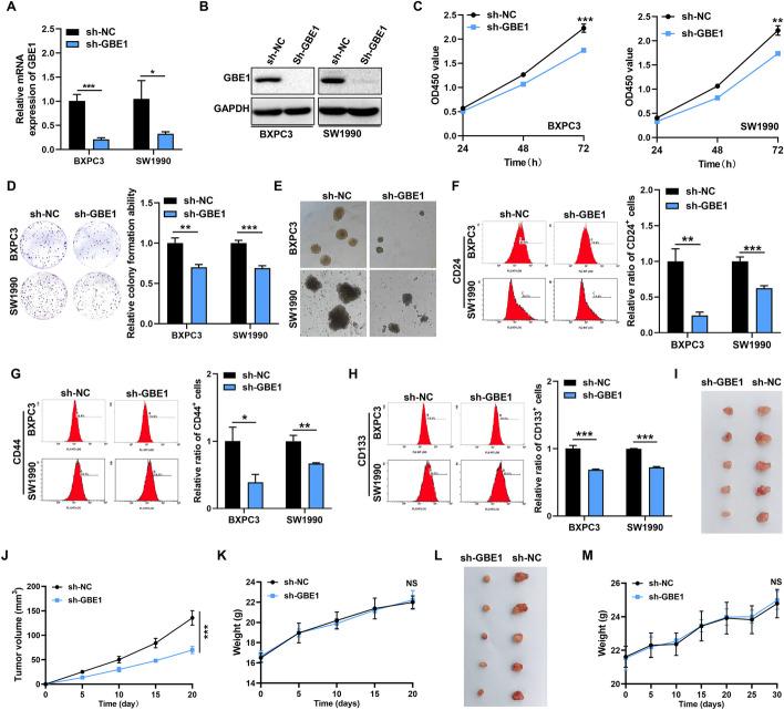 https://cdn.ncbi.nlm.nih.gov/pmc/blobs/e8e8/11223412/8d45118c375d/11658_2024_611_Fig3_HTML.jpg