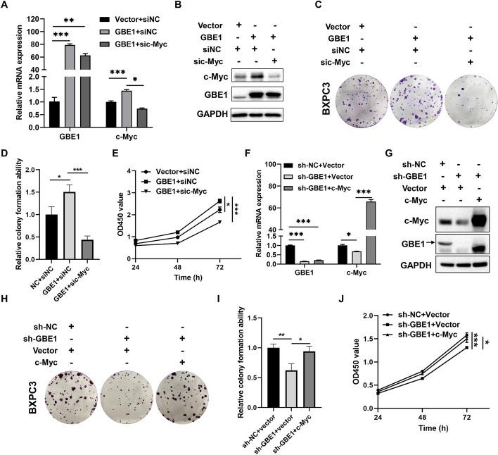 https://cdn.ncbi.nlm.nih.gov/pmc/blobs/e8e8/11223412/9555bbd748f0/11658_2024_611_Fig5_HTML.jpg