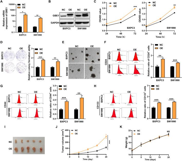 https://cdn.ncbi.nlm.nih.gov/pmc/blobs/e8e8/11223412/a25123af0732/11658_2024_611_Fig2_HTML.jpg