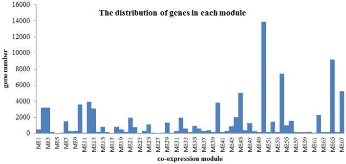 https://cdn.ncbi.nlm.nih.gov/pmc/blobs/e8e8/5594225/3252f0fb5398/fpls-08-01545-g0006.jpg