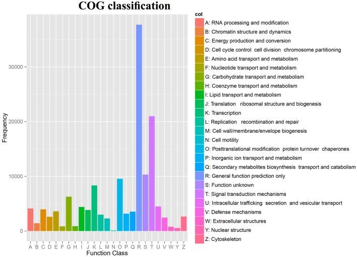 https://cdn.ncbi.nlm.nih.gov/pmc/blobs/e8e8/5594225/3347deced182/fpls-08-01545-g0003.jpg