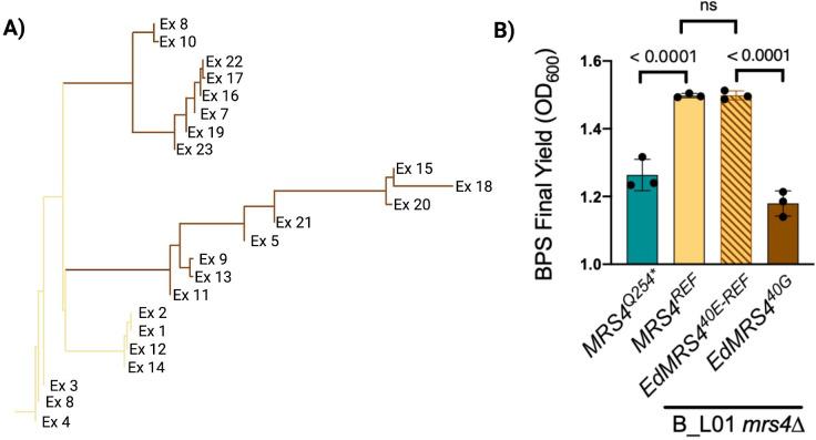 https://cdn.ncbi.nlm.nih.gov/pmc/blobs/e8ea/10470810/0c0b220e0507/mbio.01171-23.f006.jpg