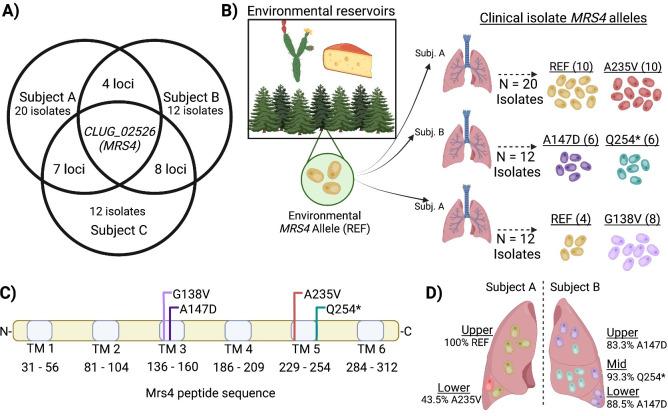 https://cdn.ncbi.nlm.nih.gov/pmc/blobs/e8ea/10470810/76bafe752105/mbio.01171-23.f001.jpg