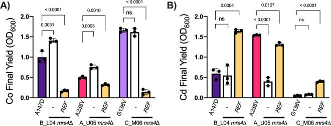 https://cdn.ncbi.nlm.nih.gov/pmc/blobs/e8ea/10470810/a35e92569856/mbio.01171-23.f003.jpg