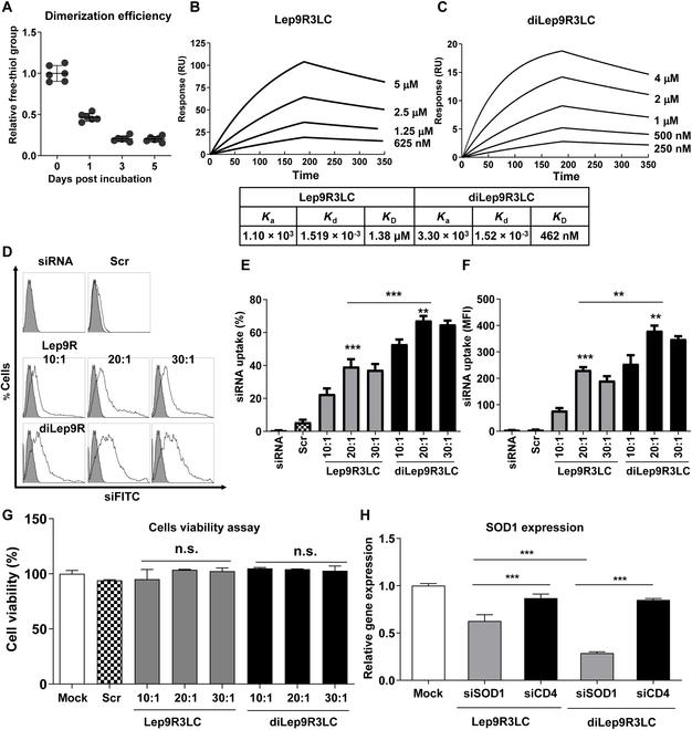 https://cdn.ncbi.nlm.nih.gov/pmc/blobs/e8ea/11168191/01f3dcc2494a/bmr.0027.fig.001.jpg