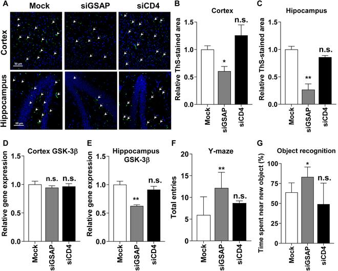 https://cdn.ncbi.nlm.nih.gov/pmc/blobs/e8ea/11168191/3465508ef362/bmr.0027.fig.006.jpg